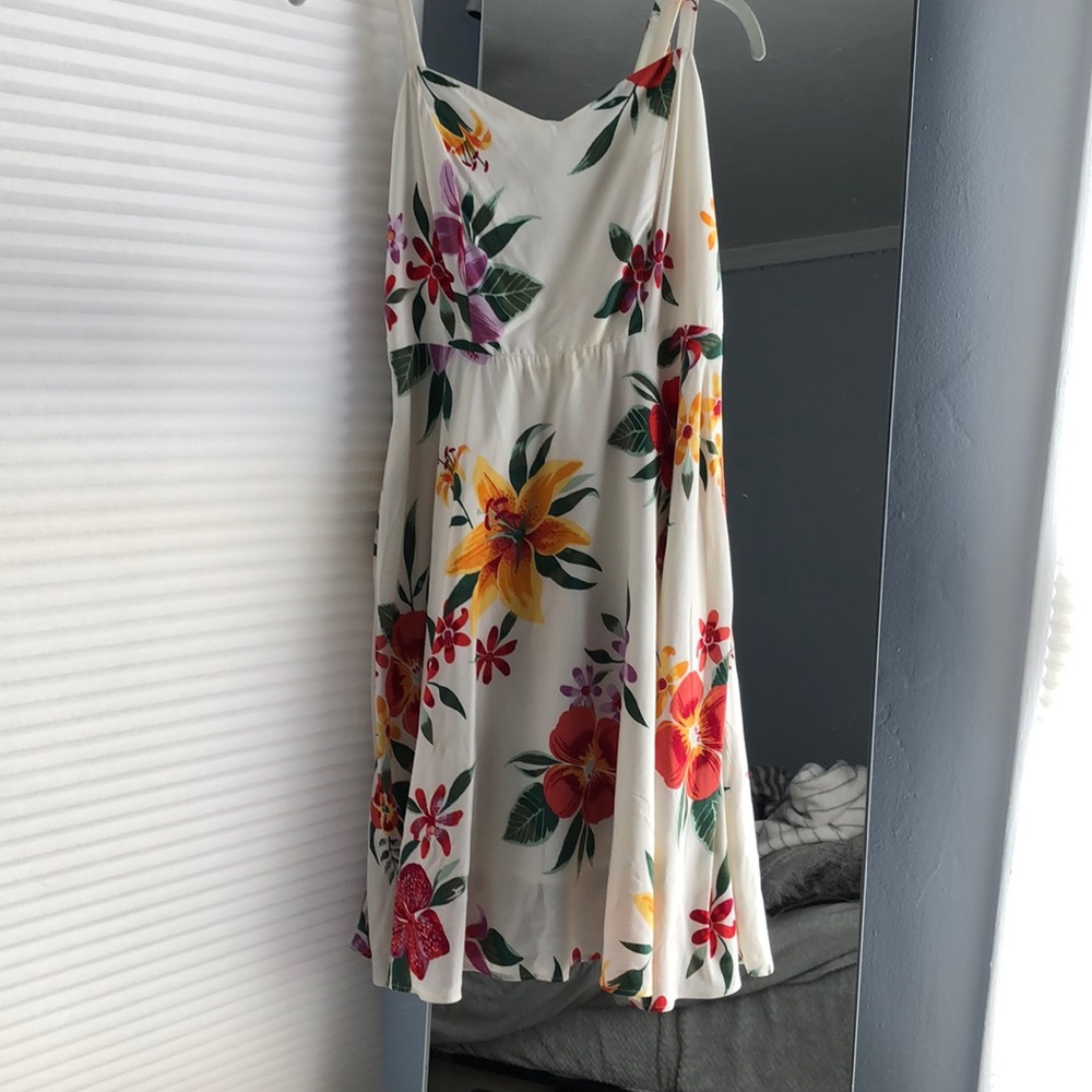 Cute flower dress (only worn once)